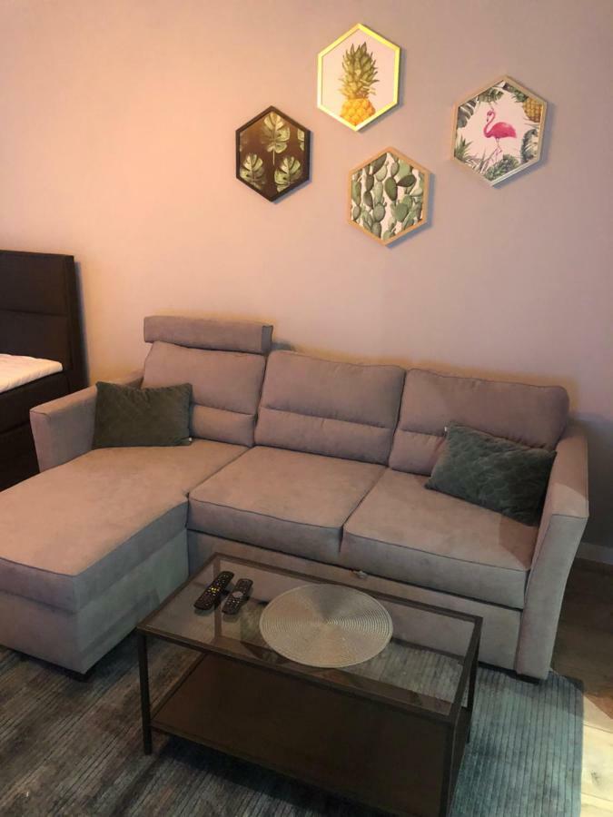 Apartament Flaming Z Balkonem - Scisle Centrum Naprzeciwko Pkp I Pks - Self Check In - Darmowy Parking - Pozne Wymeldowanie - Wystawiamy Fv Opole Exteriör bild